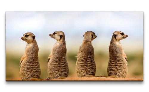 120x60cm leinwandbild - 120x60cm,