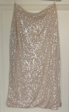 Langer Rock v. Primark, Gr.40