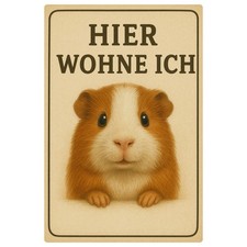 Meerschweinchen Tierschild Blechschild |20x30cm | Dekoschild Schild Metallschild
