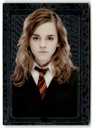 Panini harry potter - panini,