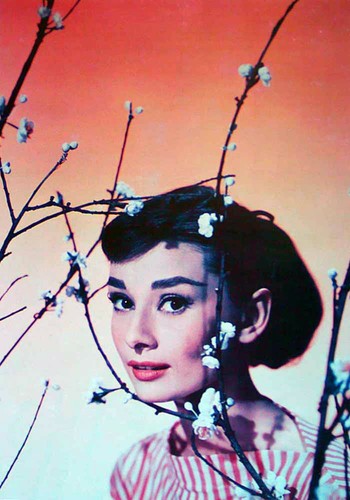 Audrey hepburn frühstück - hepburn,
