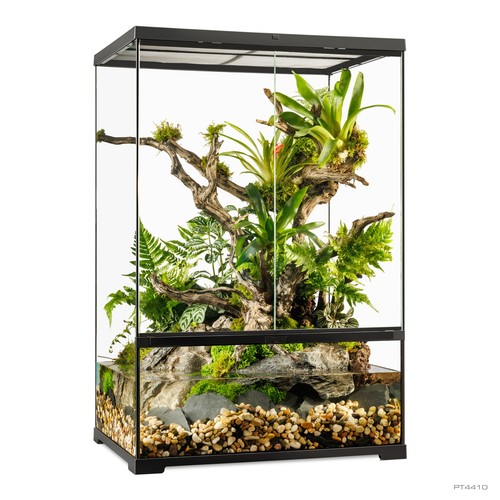 Exo terra pro - exo, paludarium