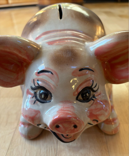 Lustiges sparschwein - sparschwein, xl