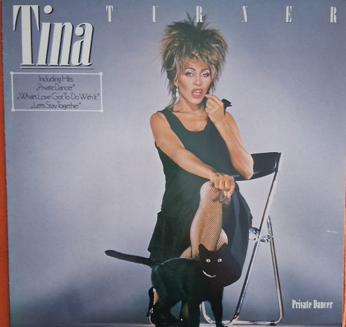 Tina turner privat - turner, dancer