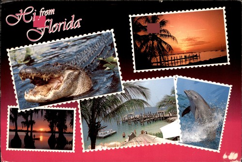 Usa greetings from florida - usa,