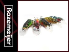 Rozemeijer kleine Versuchung