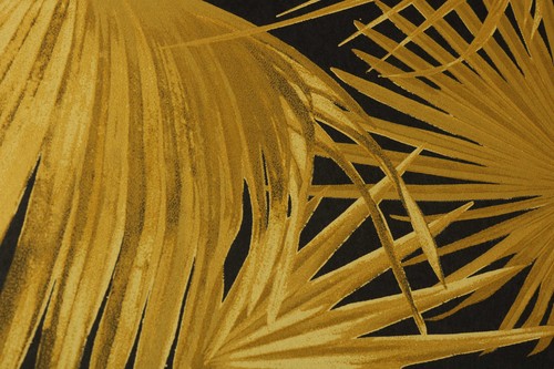 Tapetenbuch wild tapetenmuster - tapetenbuch,