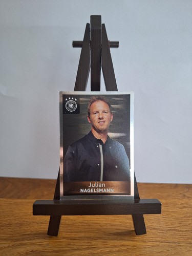 Edeka panini dfb sammelkarten - panini,