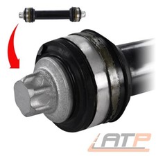 QUERLENKER SCHWINGARM