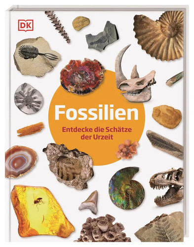 Fossilien entdecke die - fossilien,