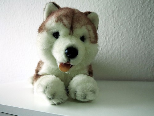Plüschtier husky - plüschtier, „husky“