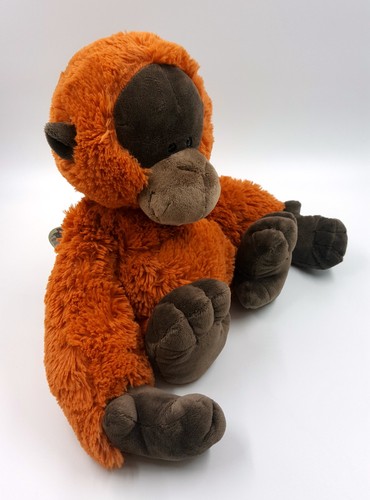 Nici affe orang utan - nici,