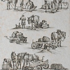 Killian Ponheimer Pferde