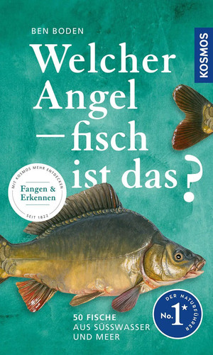 Welcher angelfisch ist - angelfisch,