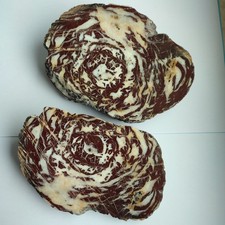 Geschliffene Mineralienplatte (Kalkstein?) FO: unbekannt