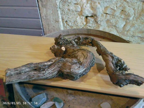 Weinstock herbstdeko holz - weinstock,