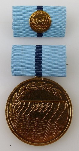Medaille für hervorragende