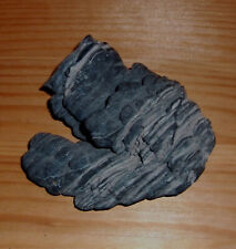 Basalt-Lava Brasilien Vulkangestein