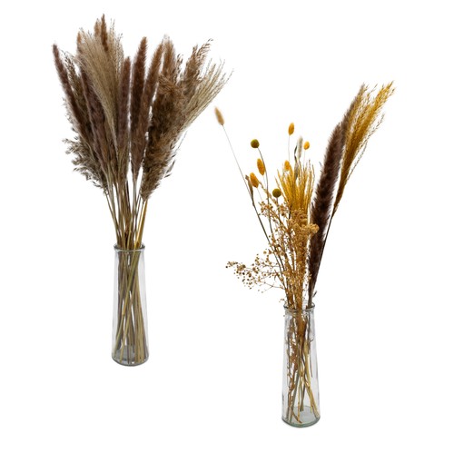 Zier gras arrangement mit - zier,