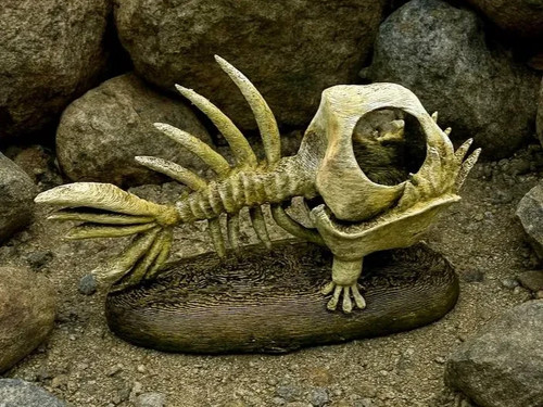 Fischfossil deko gelände - deko,
