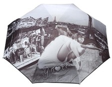 Y Not? Paris Minischirm