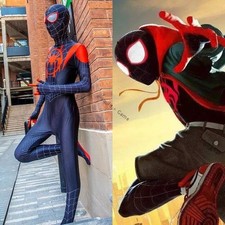 Karneval Spiderman Cosplay