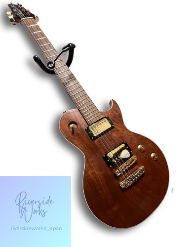 Gitarre aria pro - aria,