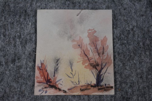 Hans goller miniatur - goller,