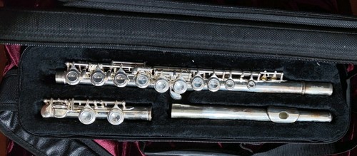 Stagg mit - stagg, 77-fe