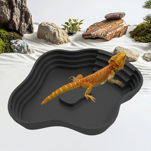Reptilienbadepool mit - reptilienbadepool,