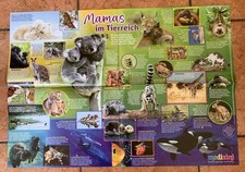 Poster von Medizini, Mamas im