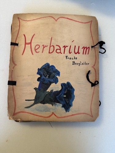 Herbarium pflanzensammlung - herbarium,