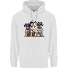 3 Cool Dalmatiner Welpen Hunde