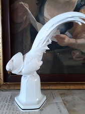 Prächtiger Goldfasan