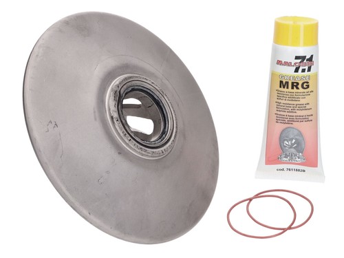 Wandlerscheibe malossi torque - wandlerscheibe,
