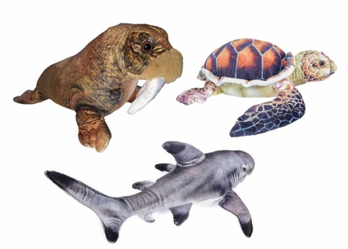 Plüschtier schildkröte - 1,