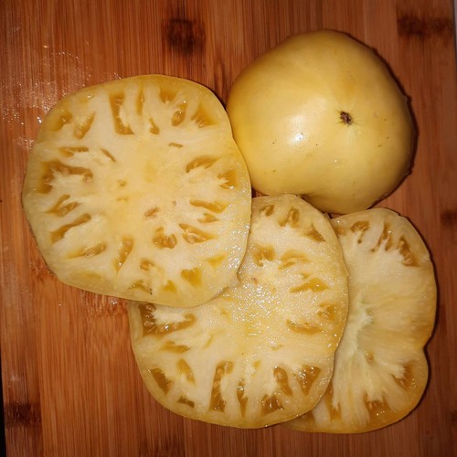 Tomatensamen white - 10,