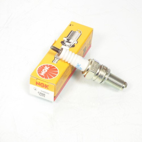 Ngk zündkerze für roller - ngk,
