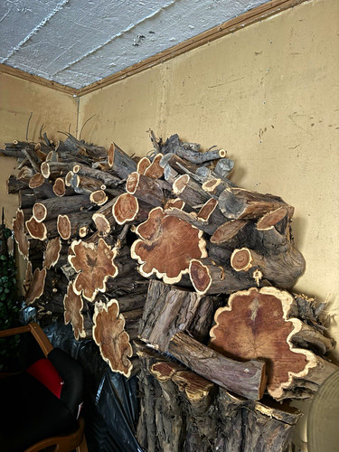 Scheitholz brennholz eibe - brennholz,,