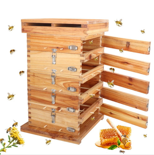 Bienenbeute bienenkasten - bienenbeute,