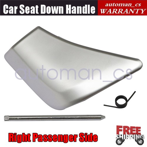 Passenger side car - passenger,