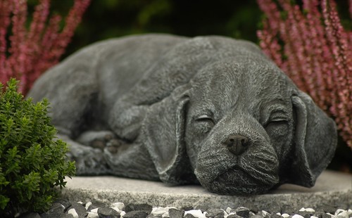 Steinfigur hund schlafend - steinfigur,