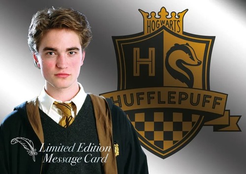 Harry potter limited edition - harry,
