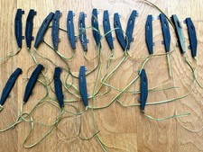 19x Minitrix elektr