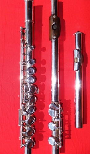 Mollenhauer e - mollenhauer, -e-
