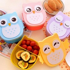 Eule Kinder Brotdose Cartoon