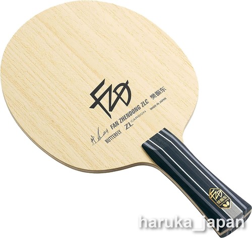 Butterfly fan zhendong - butterfly,