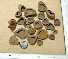23 Hexenschüsseln, Limonit Sandstein Strandstein Aquarium Dekoration Sammeln