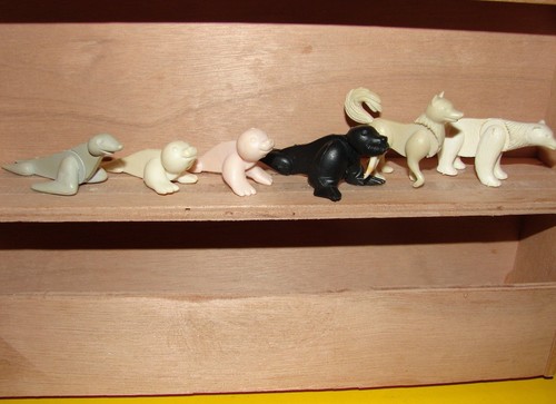 Stecktiere tiere im ewigen - im,