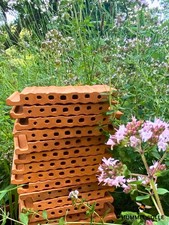 Strangfalzziegel Bienenstein